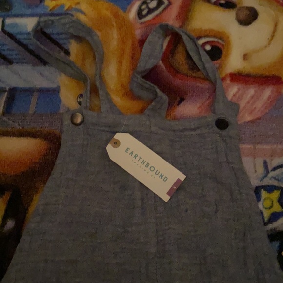 Earthbound trading co. loose overall jumper (shorts) - Picture 3 of 6